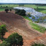 Primeira etapa do projeto de reflorestamento da nascente das Cotias.