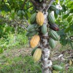 Casa Do Sr. Claudio Matos Gon?alves