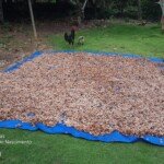 Casa Do Sr. Cleyton Costa Do Nascimento