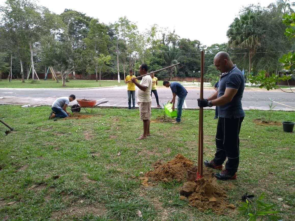 Jovens plantam 50 árvores
